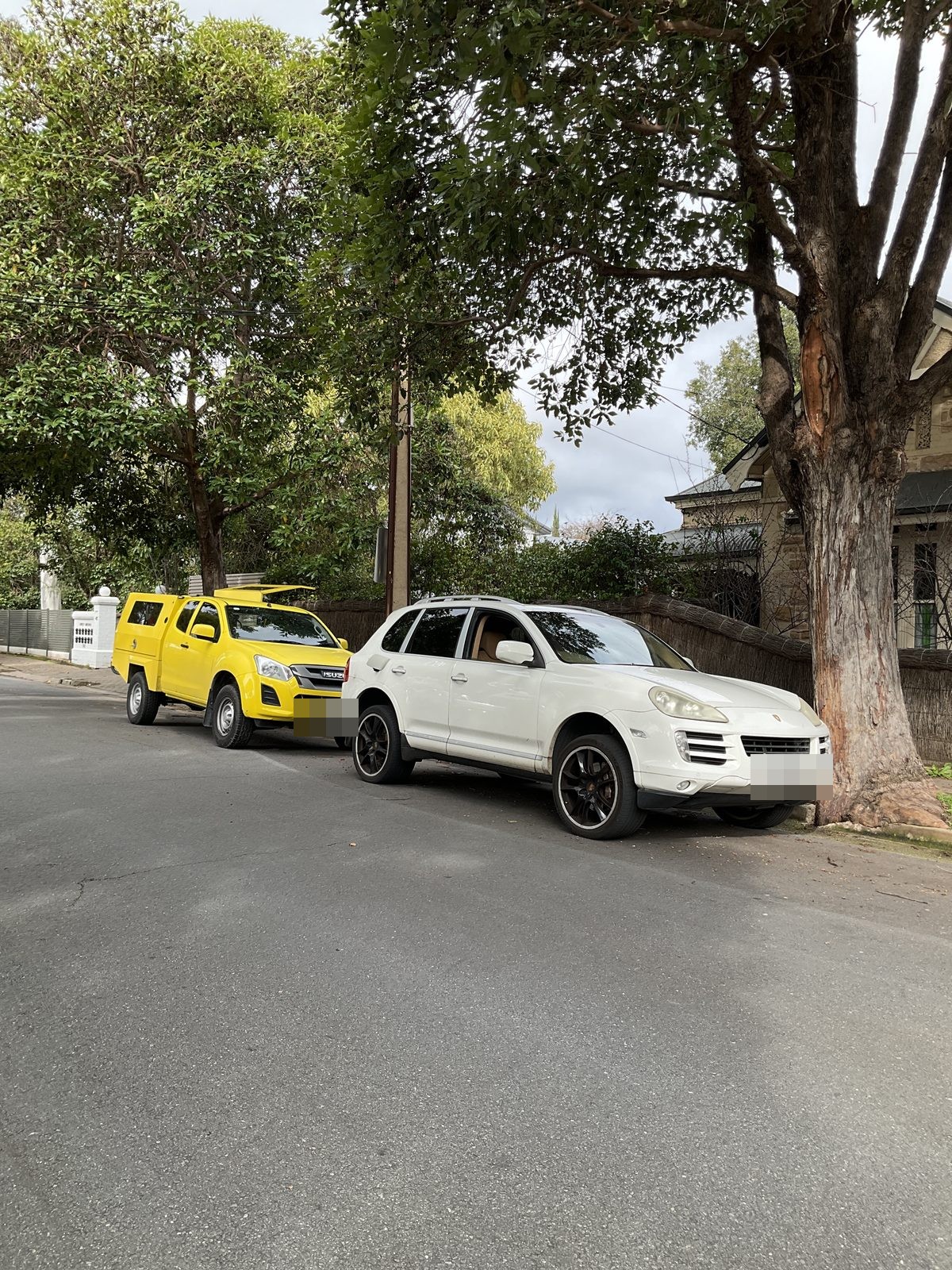 White Porsche Cayenne and yellow service ute parked on a tree lined street, Hyde Park